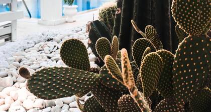 Conny's Boutique Hotel - Adults Only