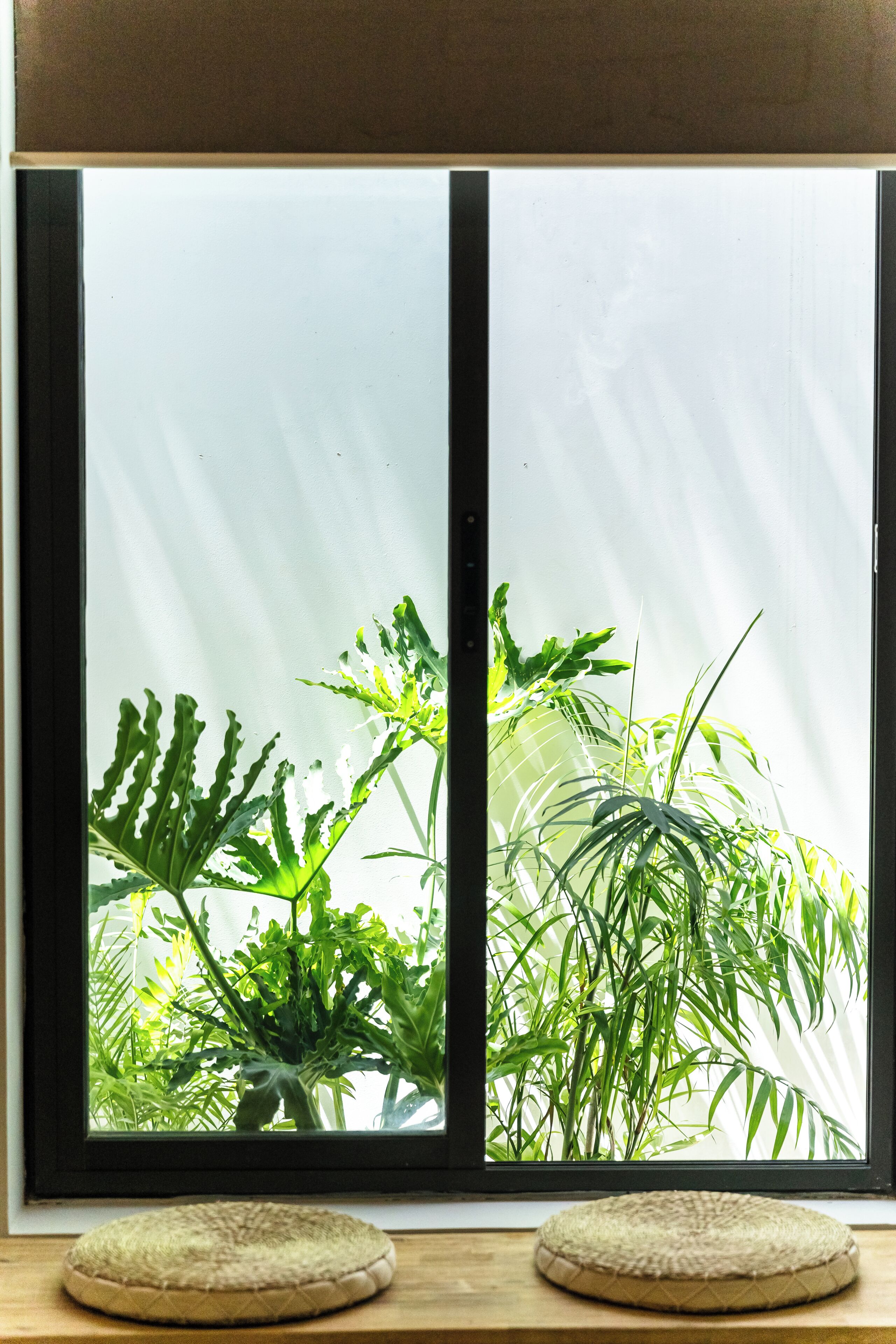 A window with a view of green plants.
