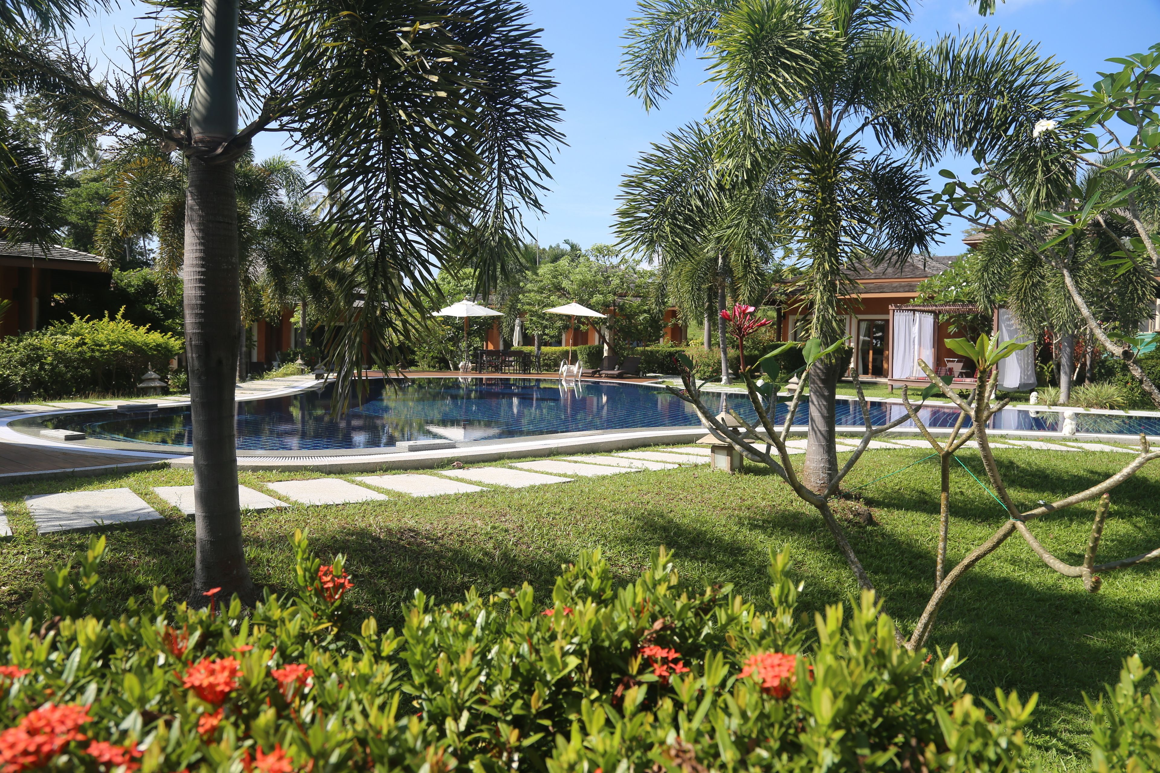 A pool area with lounge chairs and umbrellas, surrounded by lush greenery and palm trees.