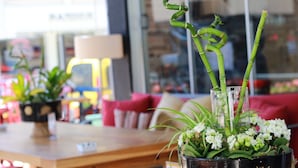 A restaurant interior with tables, chairs, and potted plants. - The Marmaris Boutique Hotel (Marmaris)
