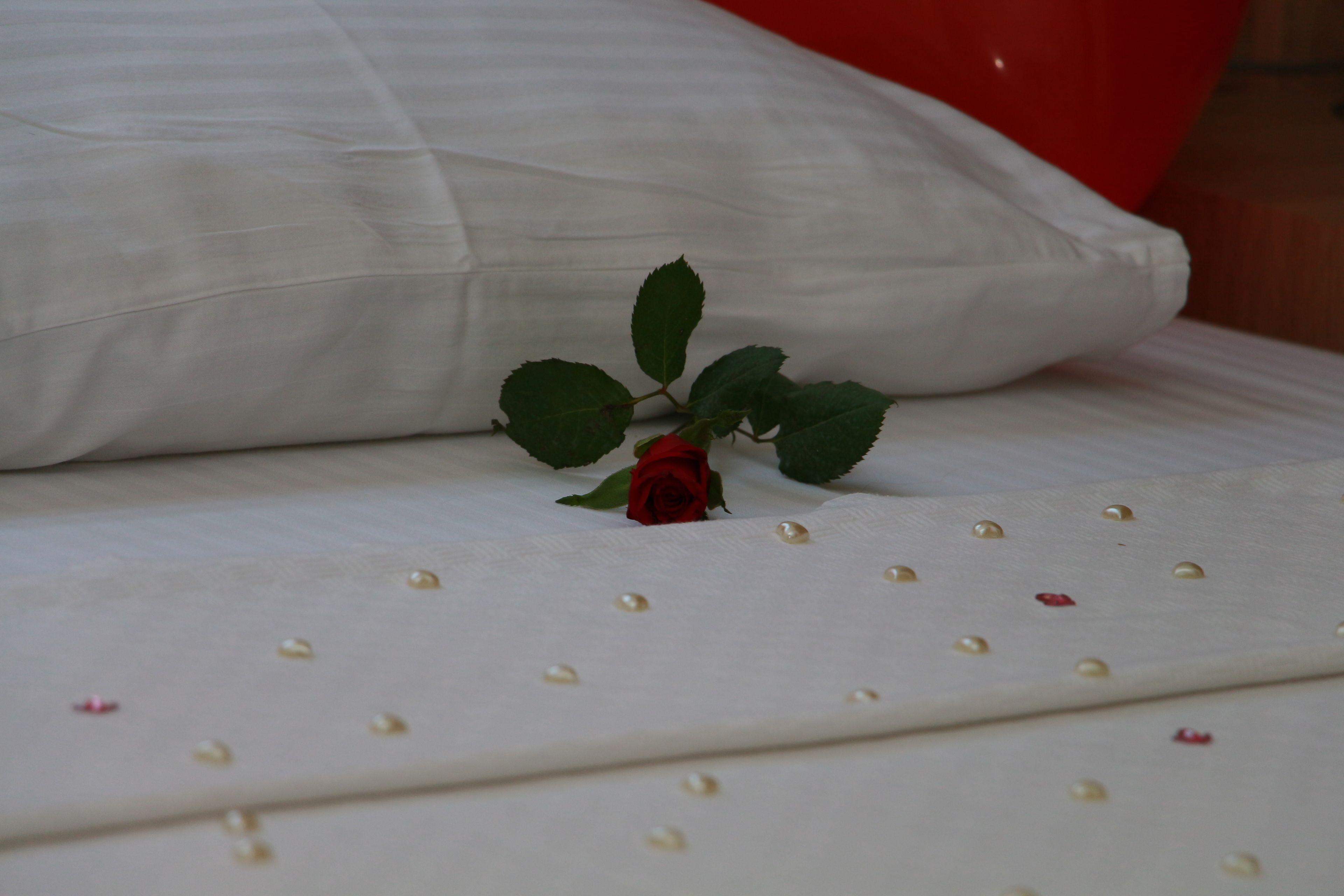 Foto - The Marmaris Boutique Hotel
