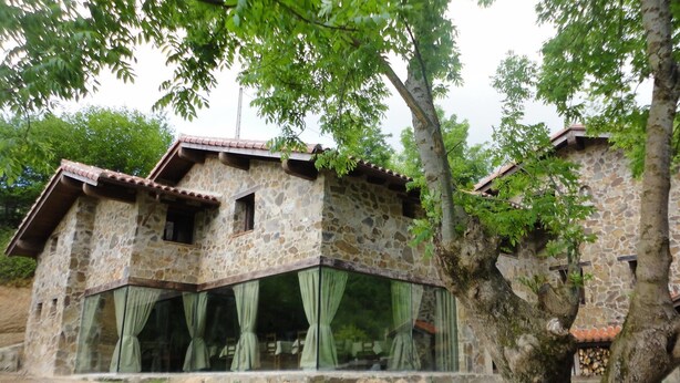 A stone building with a tiled roof, large windows with curtains, and a tree in front. - Casería La Infiesta (Caso)
