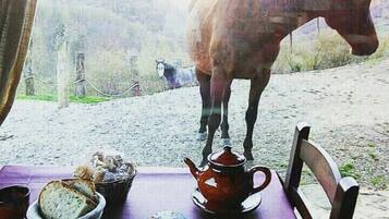 Dagelijks continentaal ontbijt (EUR 6.75 per persoon)