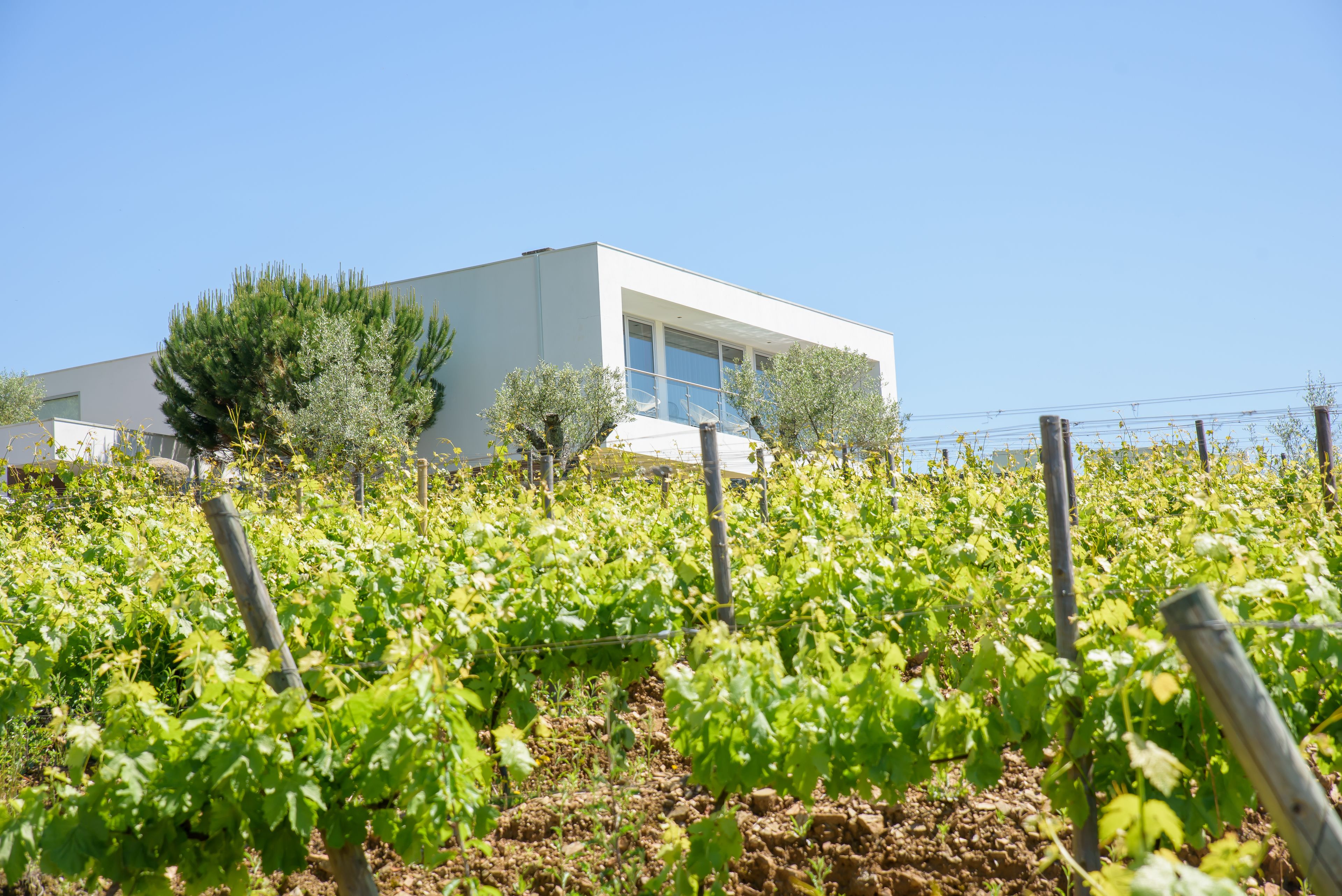 Photo - Quinta Do Bosque