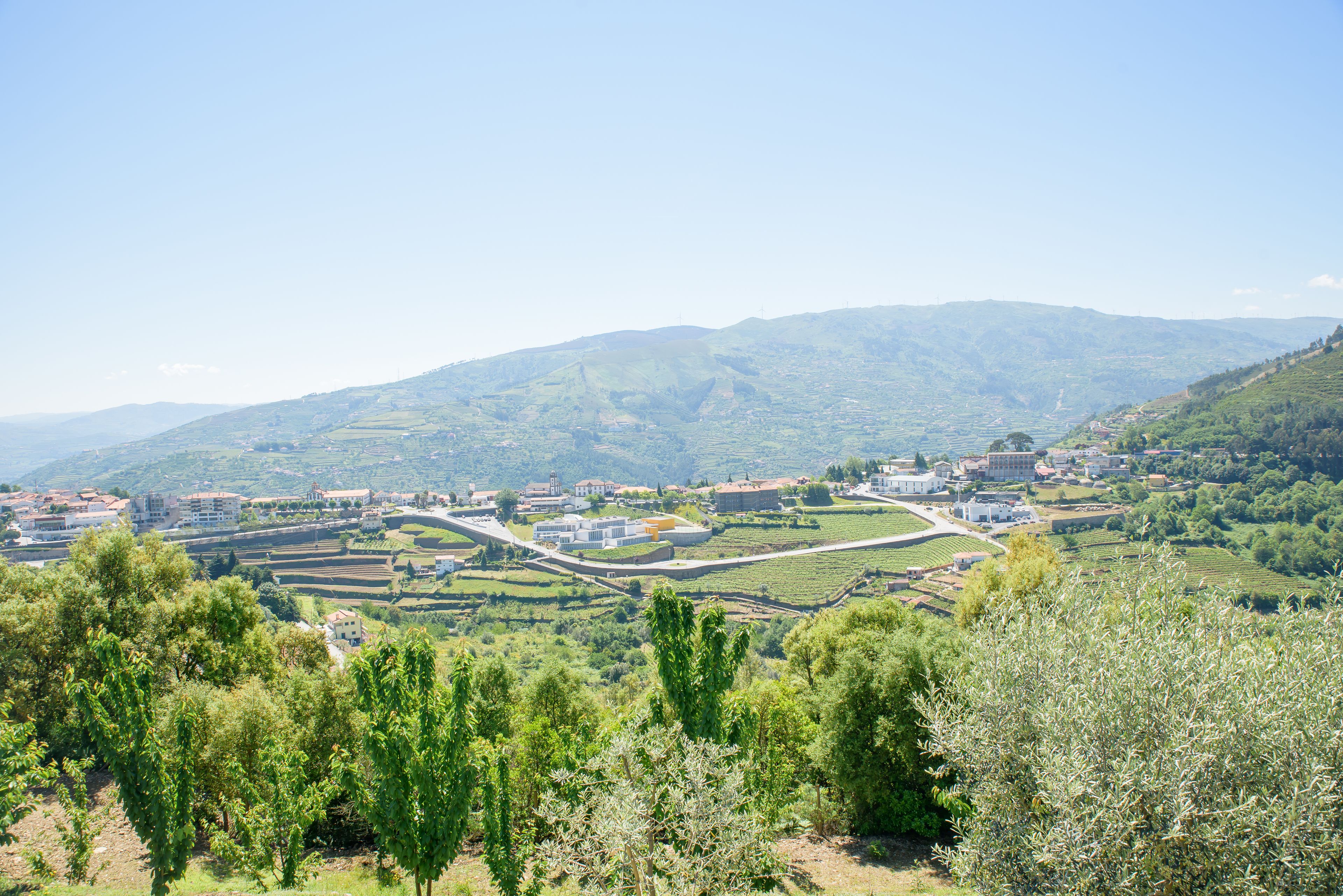 Photo - Quinta Do Bosque