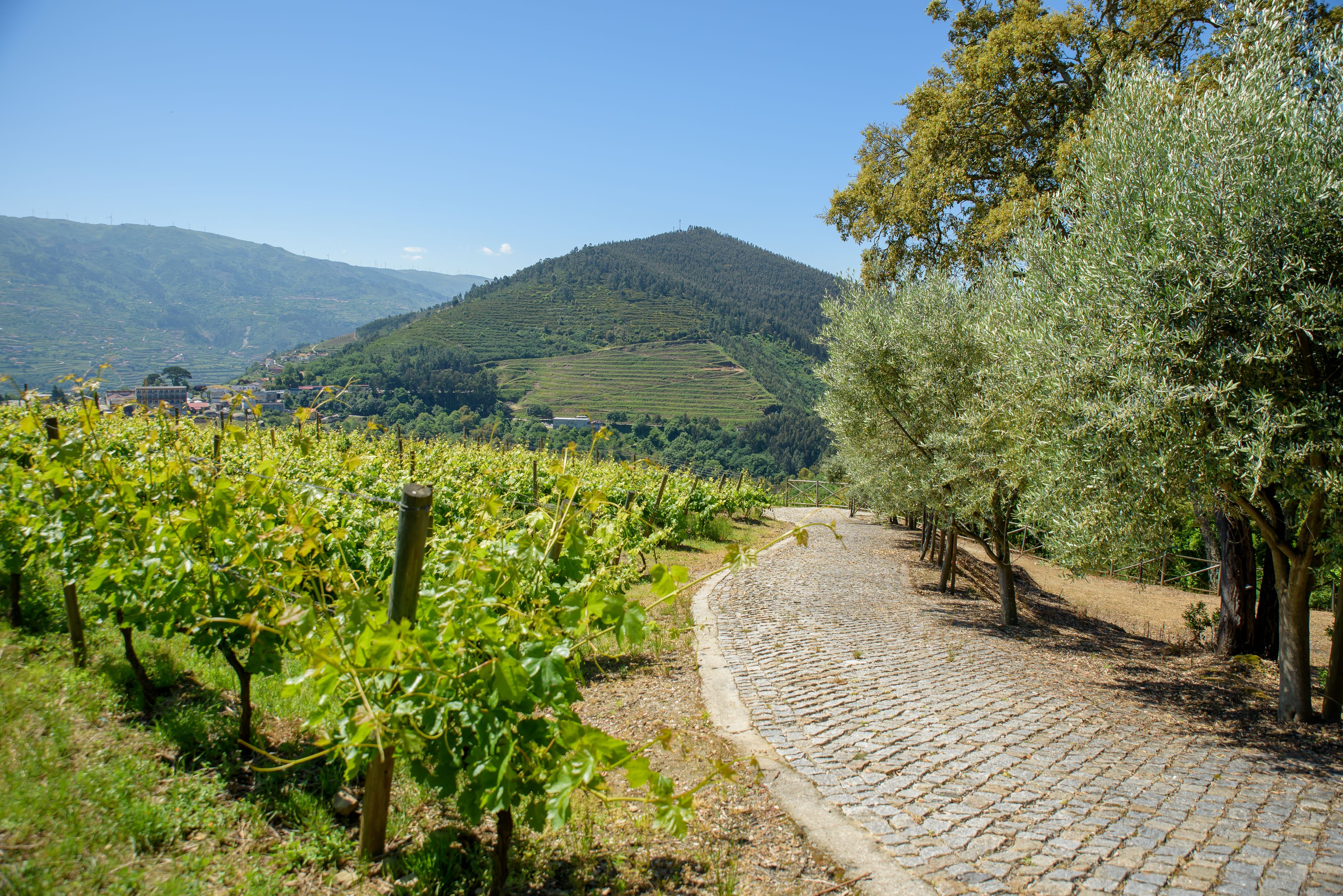 Photo - Quinta Do Bosque