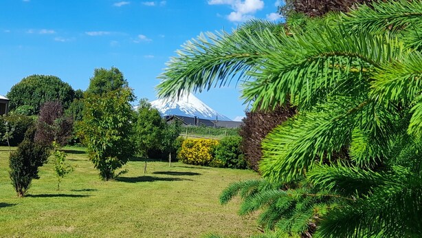A grassy area with trees and a building. - Cabañas Lago Azul (Puerto Varas)