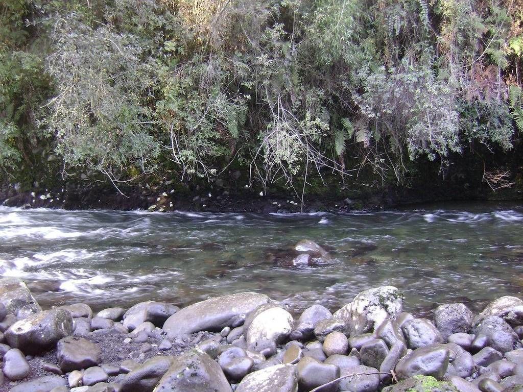 Un río con agua cristalina que fluye sobre rocas, rodeado de follaje denso y árboles.
