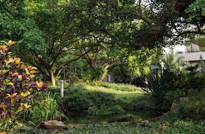 A lush garden with a pond, trees, and a pathway. - 702 Oyster Rock (Umhlanga)