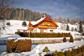 Traditional Chalet, 3 Bedrooms, Mountain View | Pemandangan dari bilik