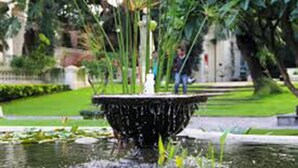 A fountain with water jets in a garden setting. - Cherry Garden (Pokhara)