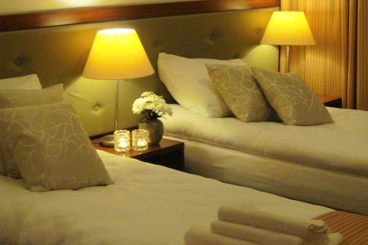 Minibar, desk, iron/ironing board, free WiFi
