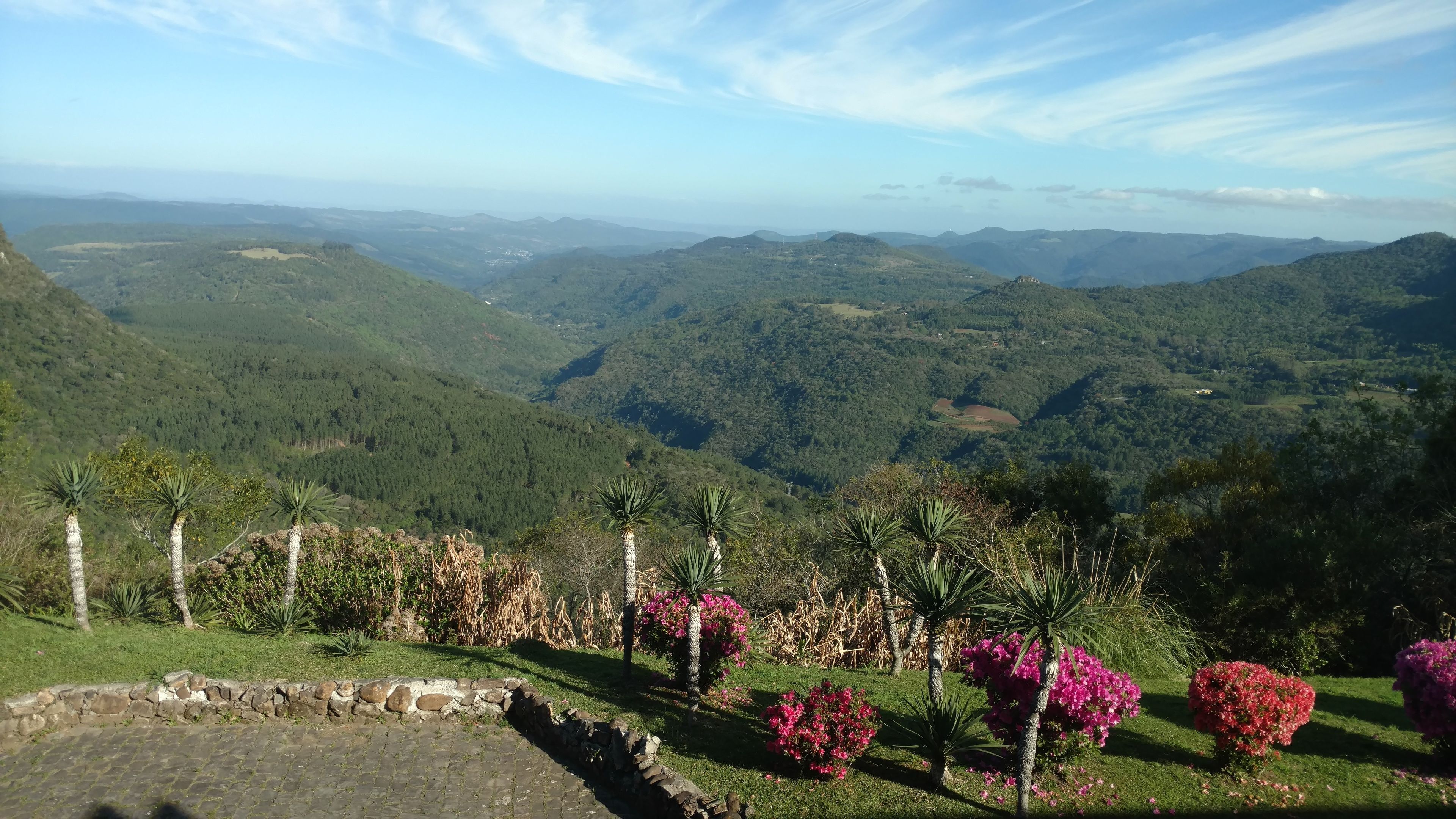 Cảnh từ trên cao