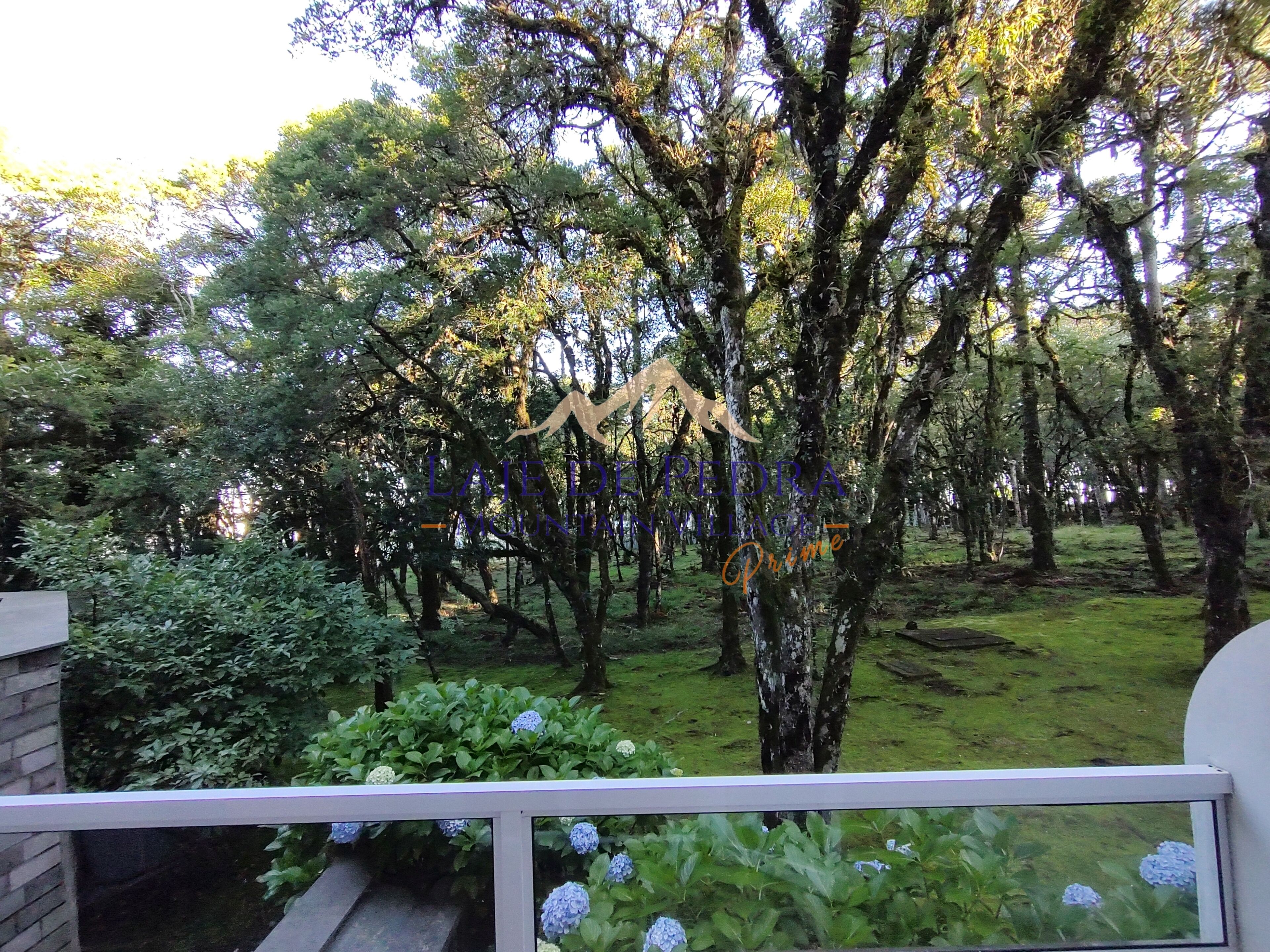 studio standard prime | balcony view