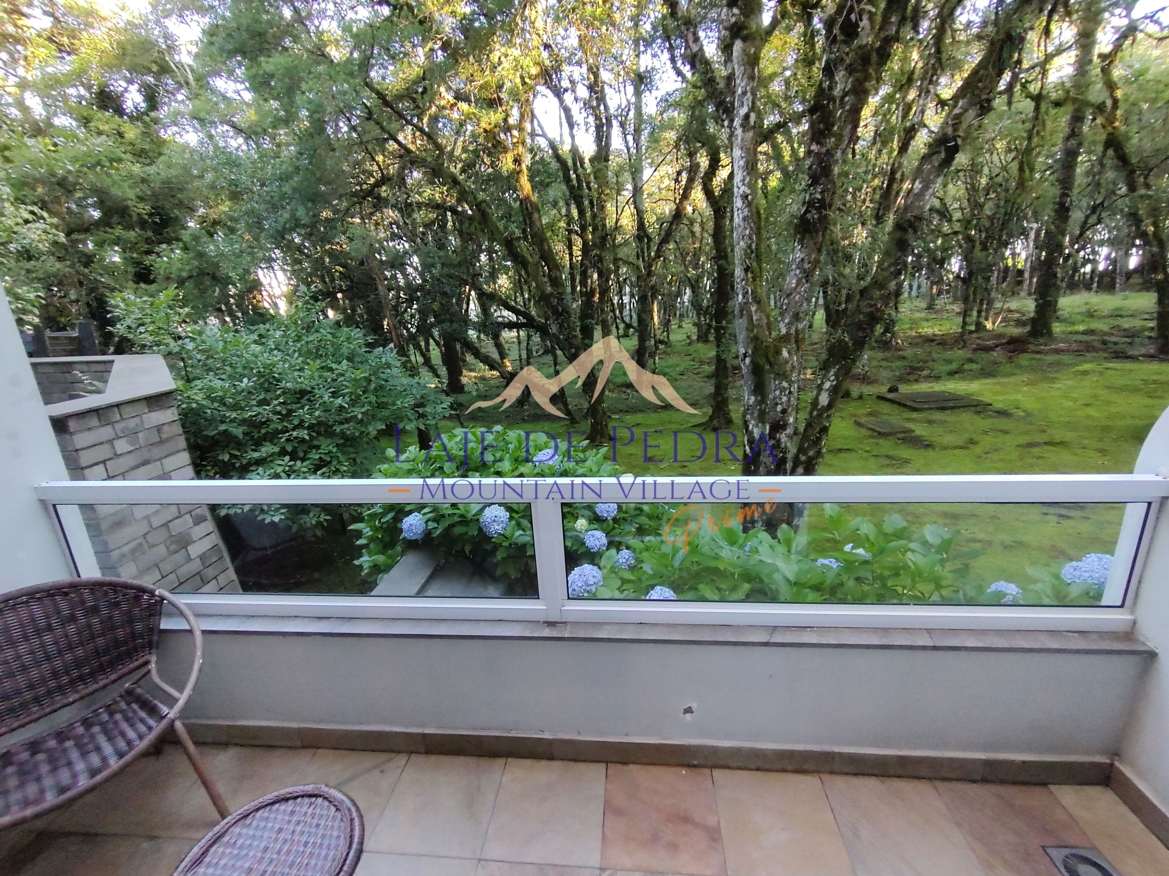 Studio Standard Prime | Sacada