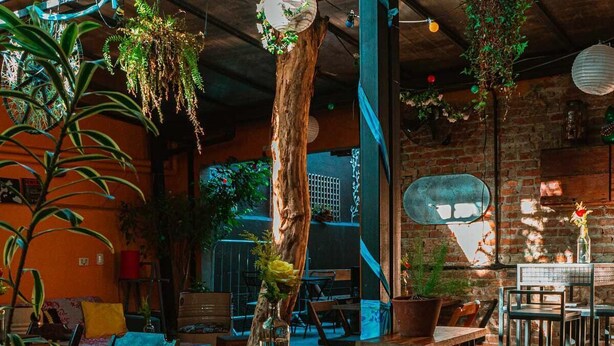 Un accogliente ristorante con tavoli e sedie in legno, piante pensili e pareti in mattoni.