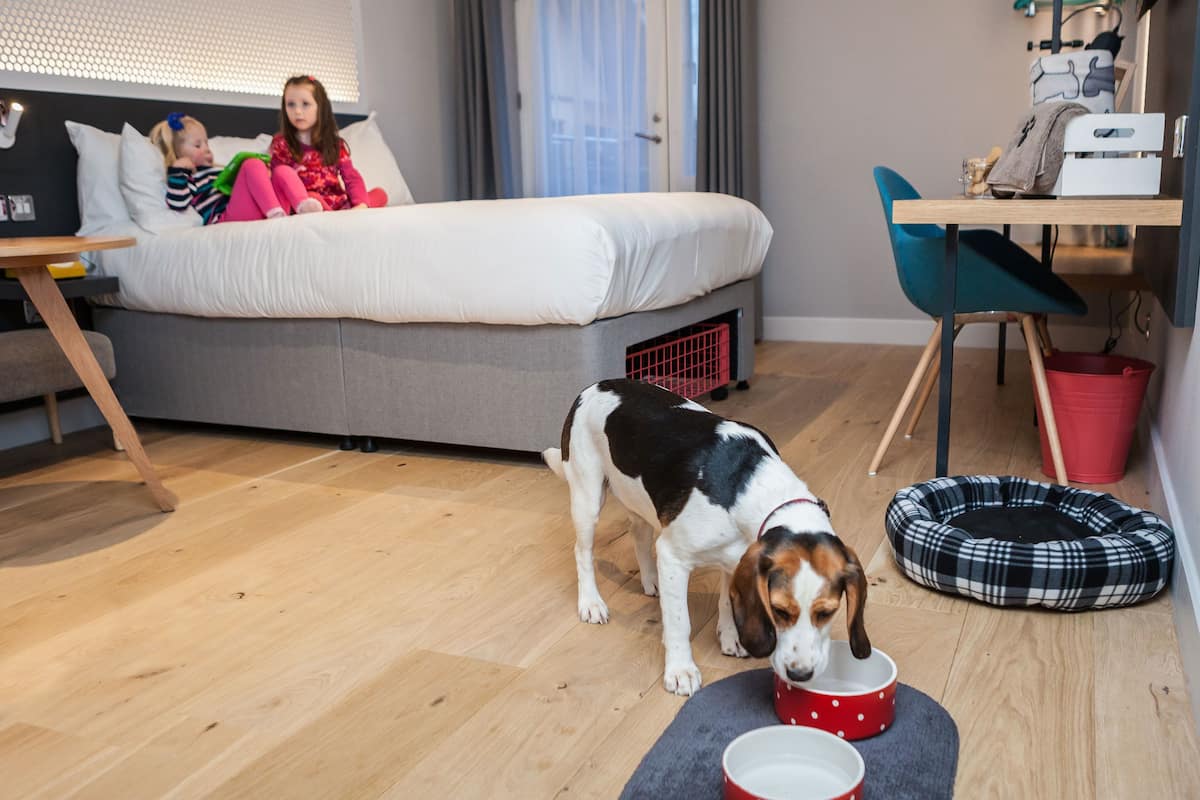 executive family room with balcony | desk, iron/ironing board, free wifi, bed sheets