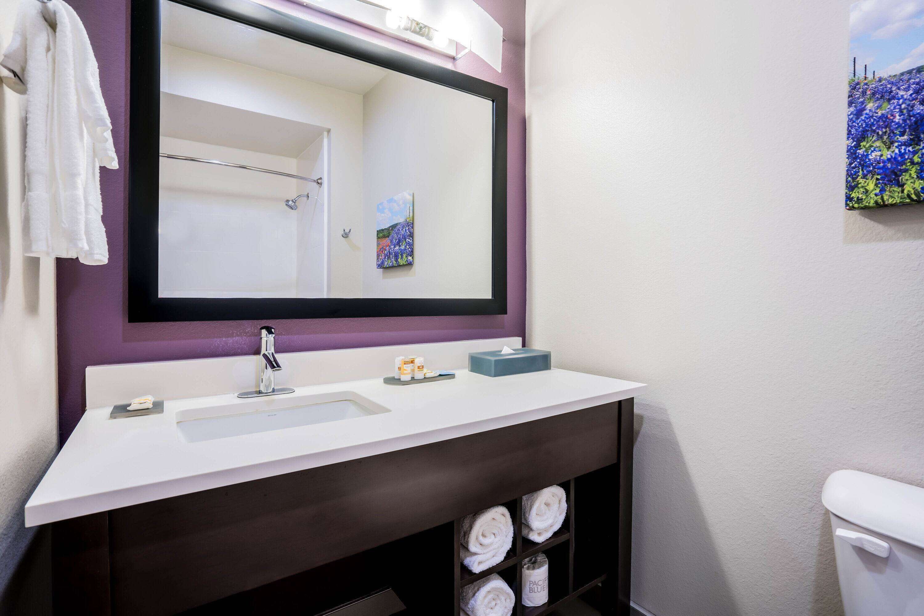 Un baño con un lavabo blanco, un espejo grande, un perchero y un cuadro de flores en la pared.
