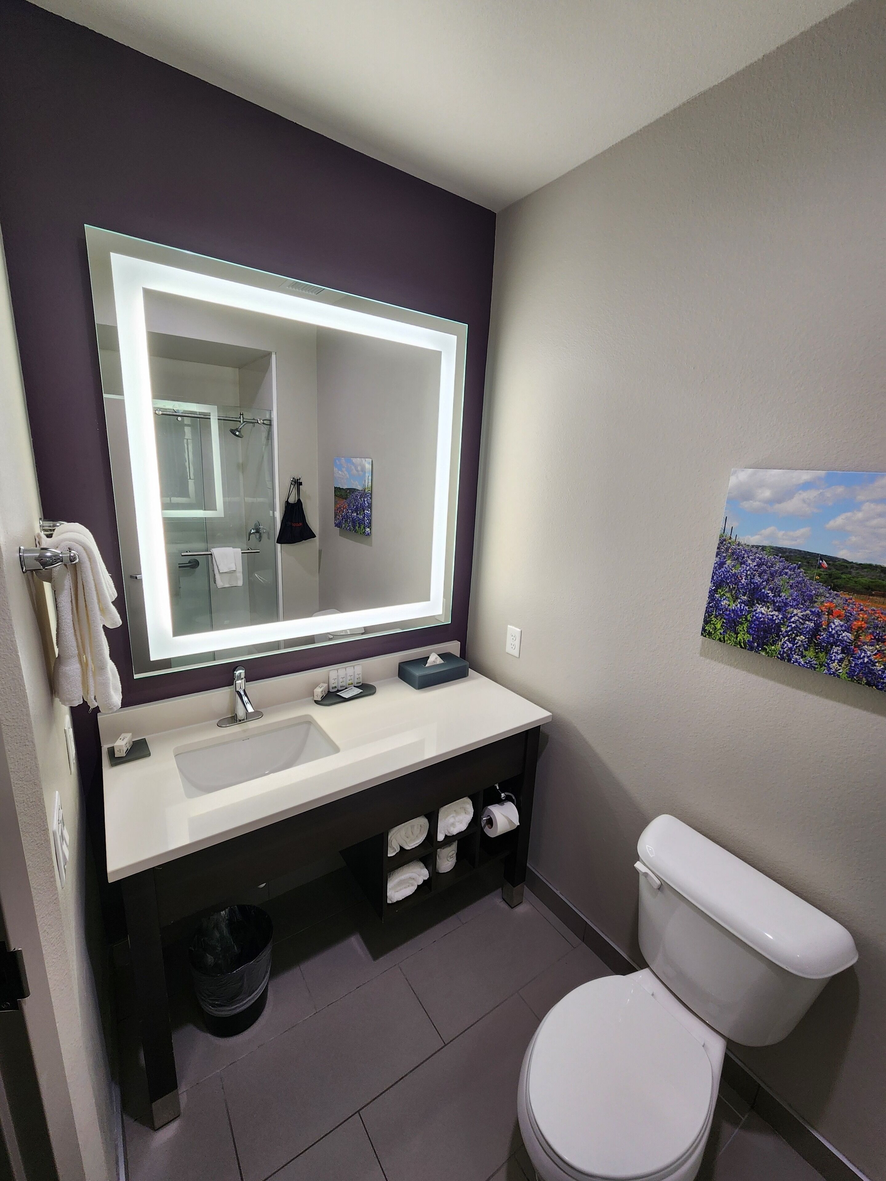 free toiletries, hair dryer, towels