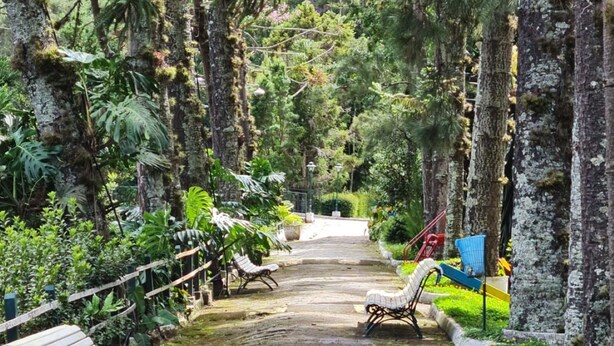 Un sendero de piedra que atraviesa un jardín exuberante con bancos y un pequeño puente.