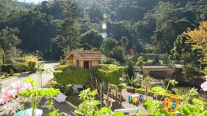 Una cabaña de madera pequeña rodeada de vegetación exuberante, un parque infantil con juegos de colores y un puente sobre una fuente de agua.