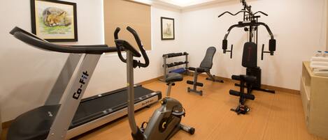 A gym with a treadmill, stationary bike, bench, and weight machines.