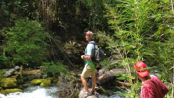 A person standing on a log over a flowing river in a forested area.