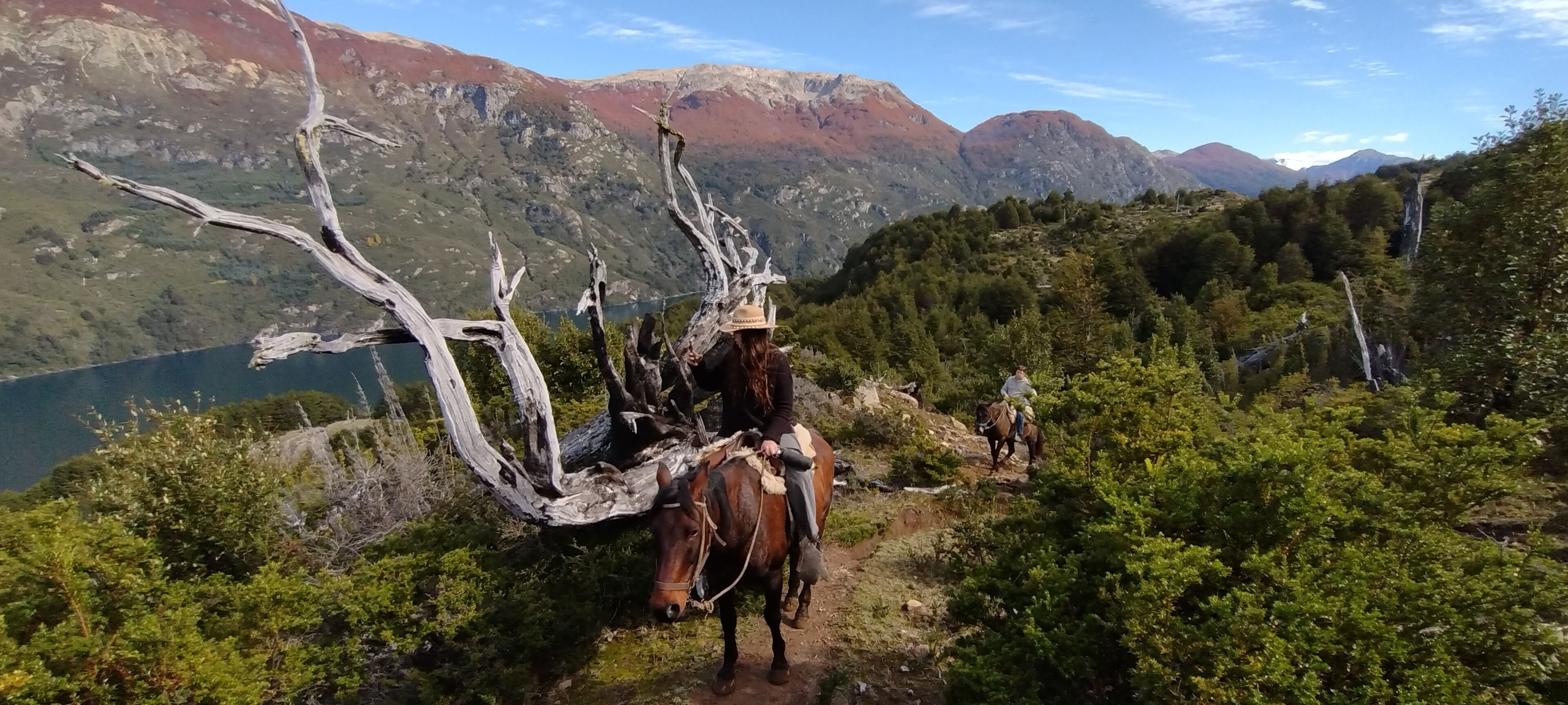 Un paisaje montañoso con vistas claras a un lago y un carruaje tirado por caballos.