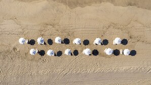 A beach with white umbrellas arranged in a line. - Hero Beach Club (Montauk)