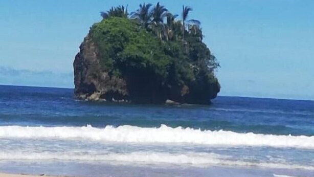 Beach - Hostal Cecilia (Cahuita)