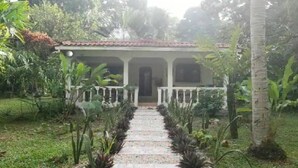 Exterior - Hostal Cecilia (Cahuita)