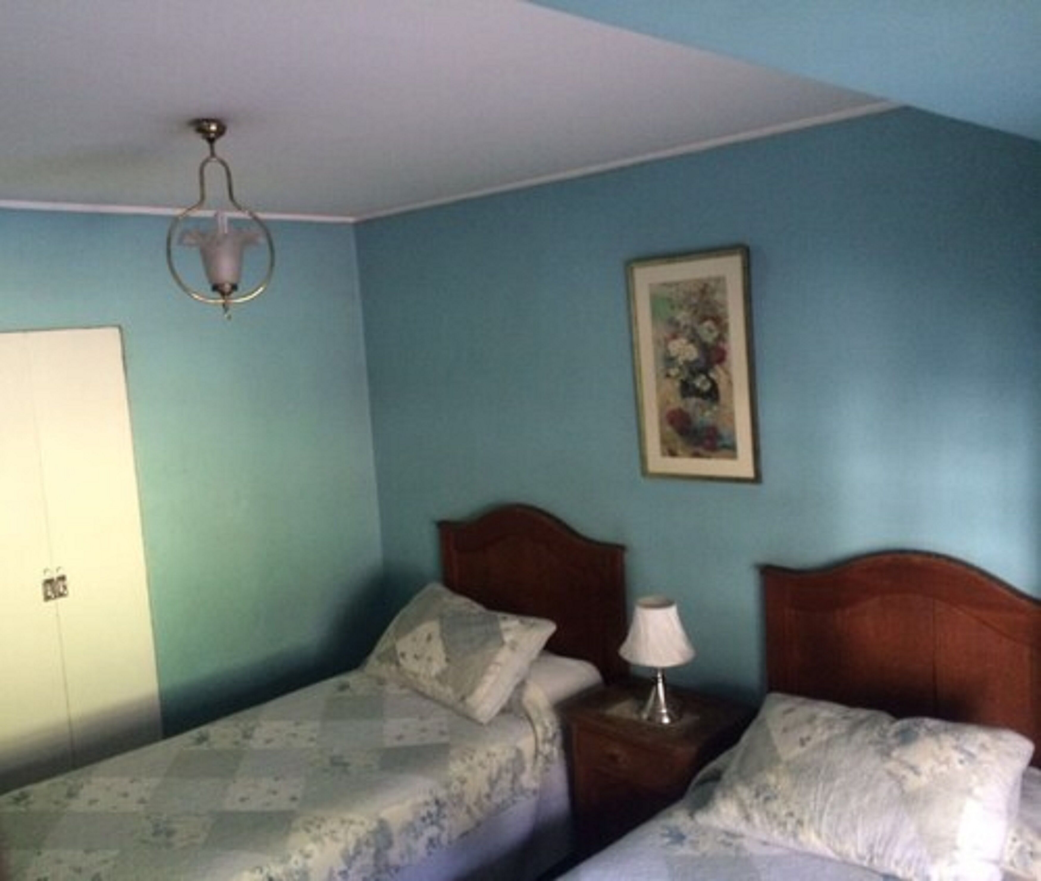 Foto - Hotel Foresta