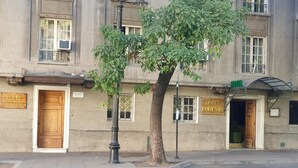 A building with a wooden door labeled "BAR" and a tree in front. - Foresta Hotel (Santiago)