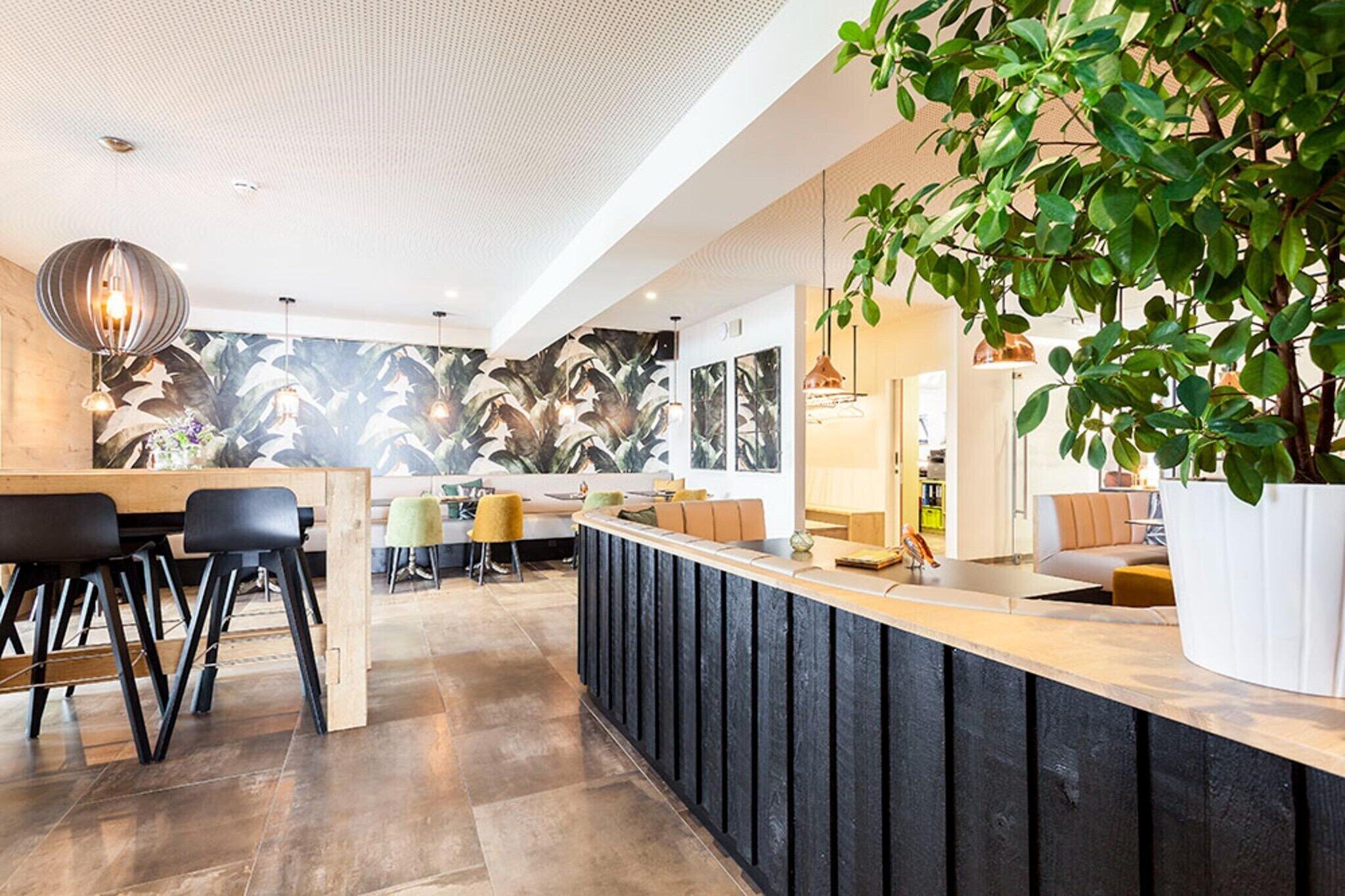 Una cocina moderna con una isla central, taburetes de bar y una planta grande en maceta.