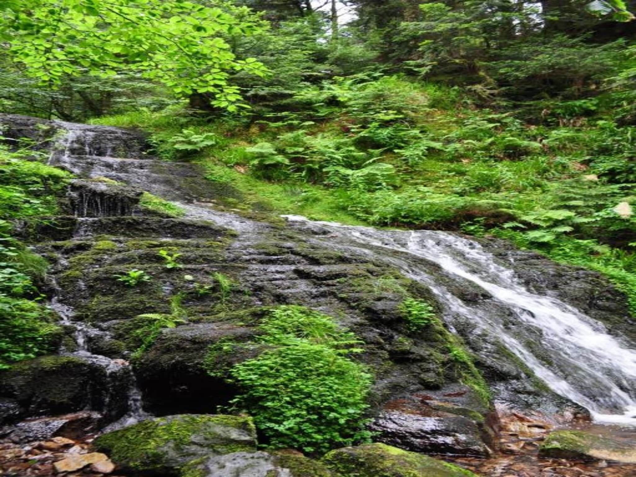 Una cascata naturale immersa nel verde.
