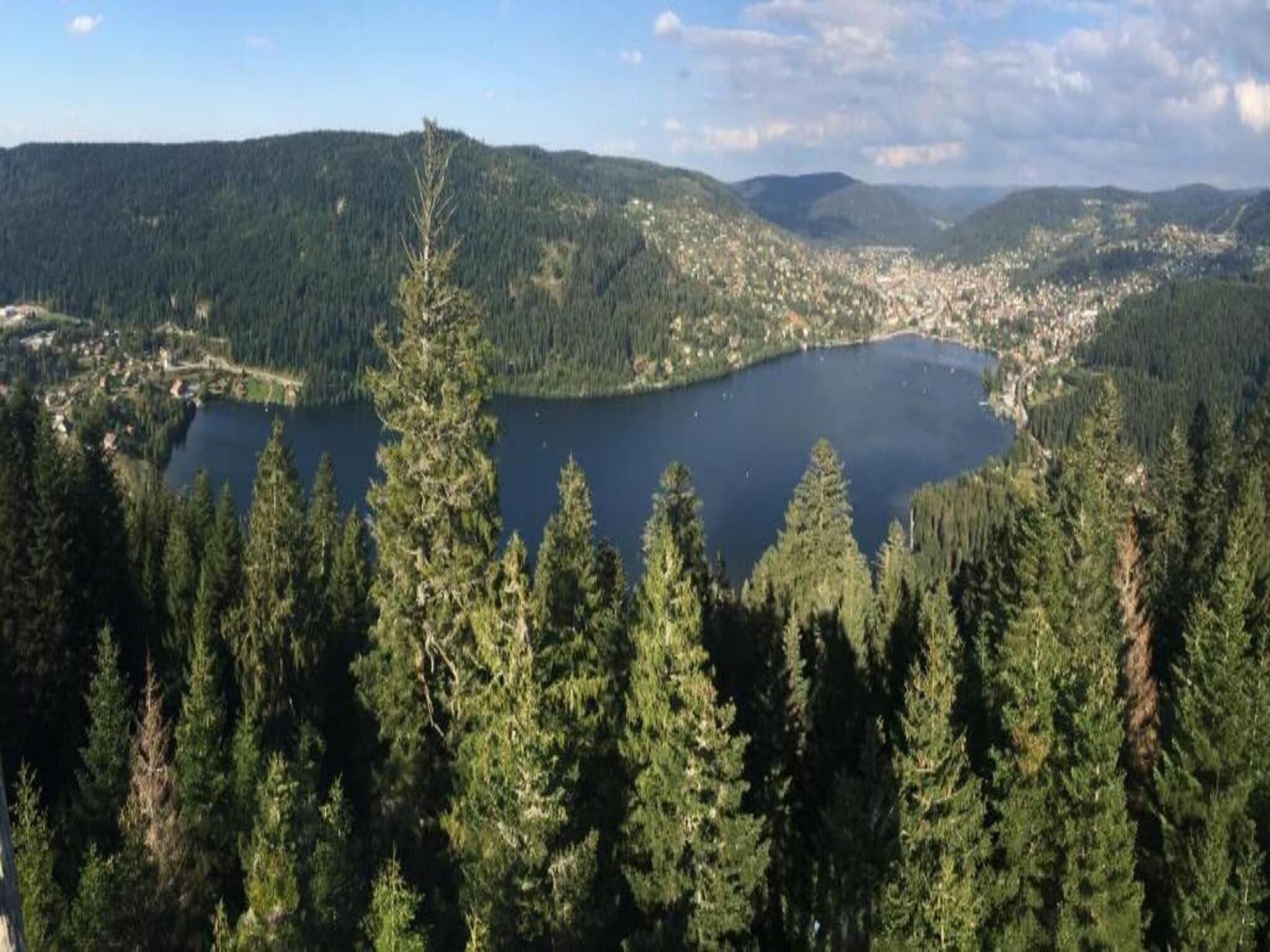 Un lago rodeado de bosque denso y colinas.
