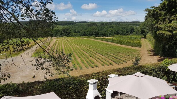 Un espace extérieur aménagé avec des sièges et une vue sur un vignoble.