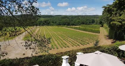 Luxusvilla mit Sauna