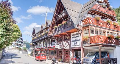 Moderni huoneisto lähellä Willingenia, jossa on oma parveke ja puutarhan käyttö