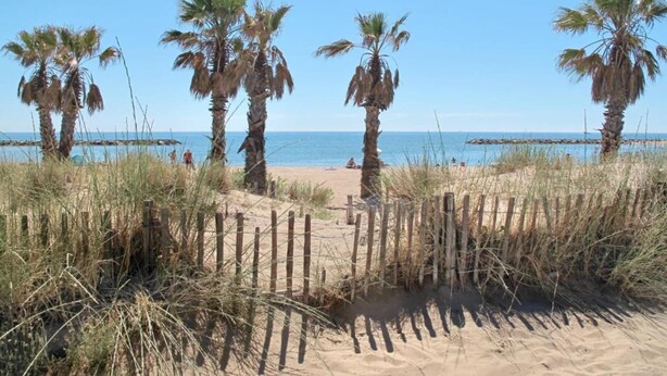 A sandy beach with palm trees and a wooden fence. - Coastal Stay for Groups (Saint-Aygulf)