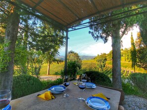 تناول الطعام بالخارج