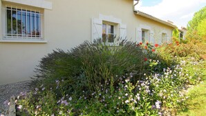A building with three windows, each with white shutters, and a garden with various plants and flowers.