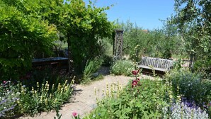 Un jardin avec un chemin pavé, un banc en bois et différentes plantes à fleurs.