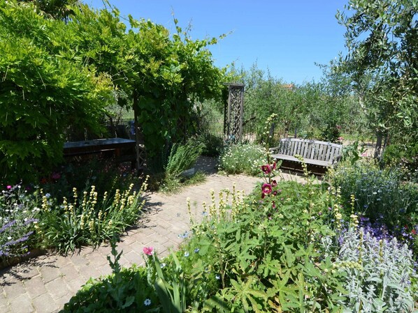 A garden with a paved walkway, a wooden bench, and various flowering plants.