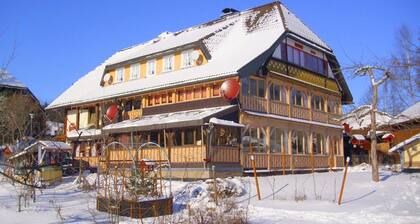 Apartment mit Bergblick in Bernau-Innerlehen