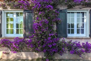 Detalle del exterior