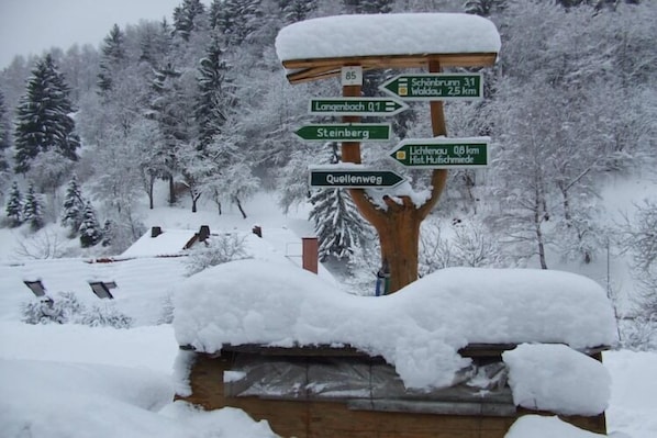 Deportes de invierno y ski