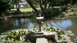 A pond with lily pads, a stone lantern, and a wooden bridge.