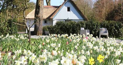 Ferienhaus in Bergen nahe Strand