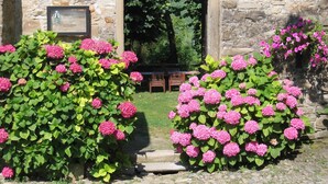 Un bâtiment en pierre avec un toit en tuiles, une plaque commémorative et des arbustes d’hortensias roses devant.